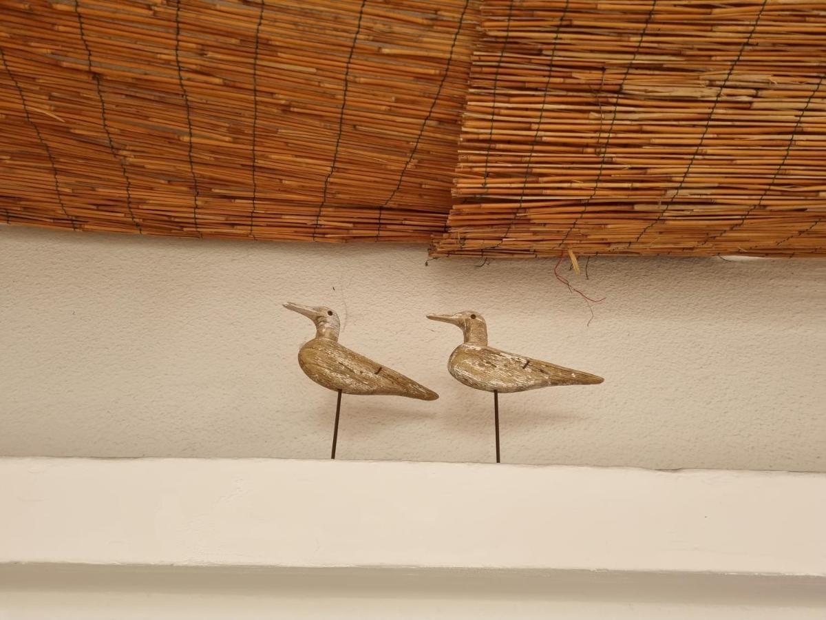Villa Lisa - La Quiete E Il Profumo Del Mare Grado Extérieur photo